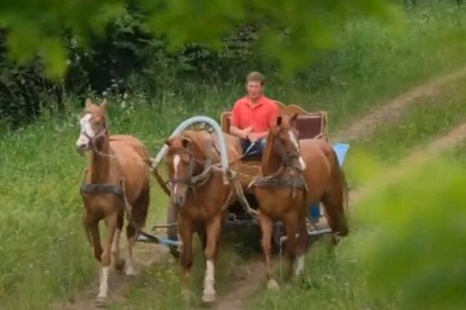 Родина з Вінниччини організовує туристичні поїздки верхи