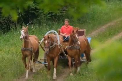 Родина з Вінниччини організовує туристичні поїздки верхи