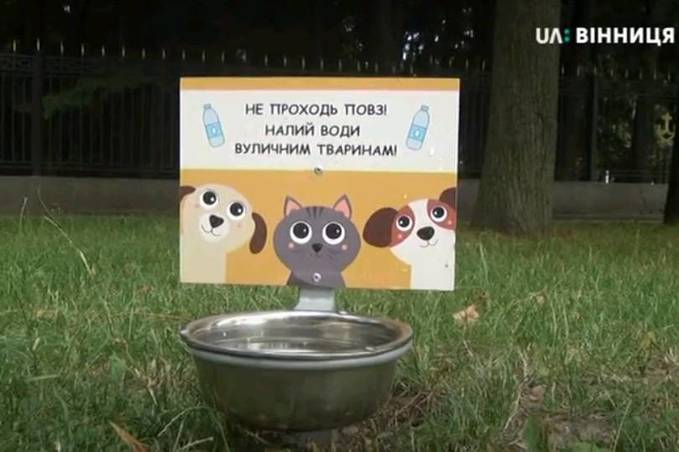 На вулицях Вінниці встановлюють поїлки для вуличних тварин