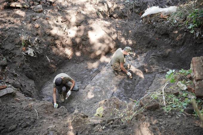 У Вінниці розкопали найбільше на території України поховання вояків Галицької армії