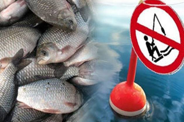 “Увага, нерест”: на Вінниччині триває заборона на вилов водних біоресурсів 

