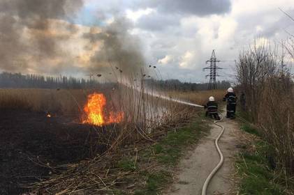 Майже півсотні пожеж на добу - на Вінниччині продовжують спалювати траву 

