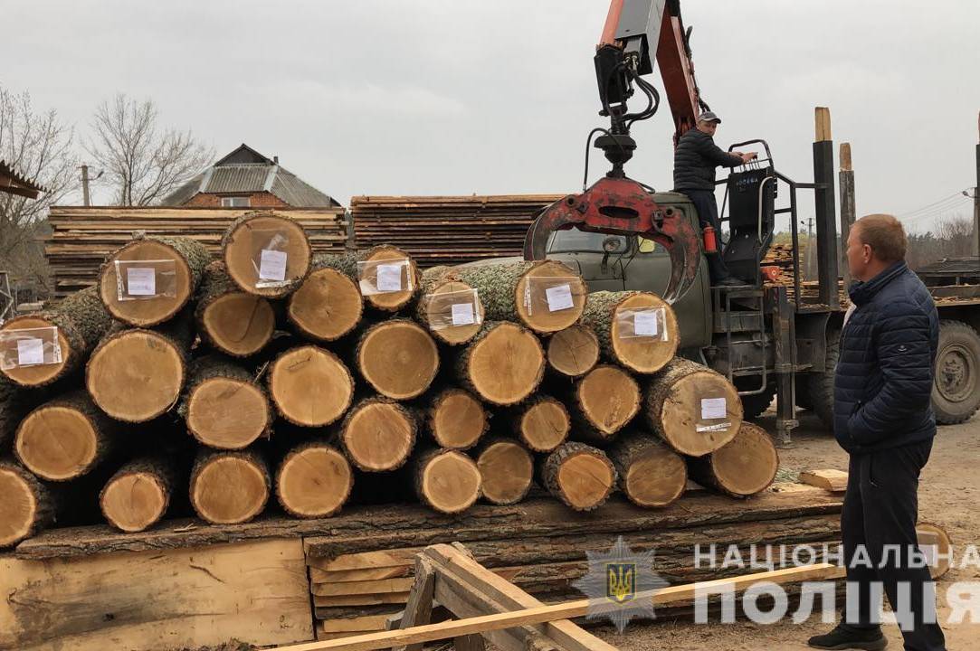 Високоякісну лісопродукцію збували закордон: на Вінниччині поліція викрила злочинну групу, яка розкрадала лісопродукцію 

