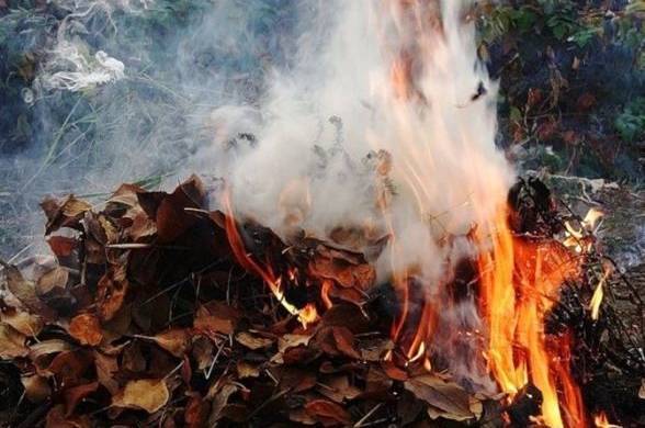 За спалювання листя вінничан штрафуватимуть на суму від 340 до 1700 гривень