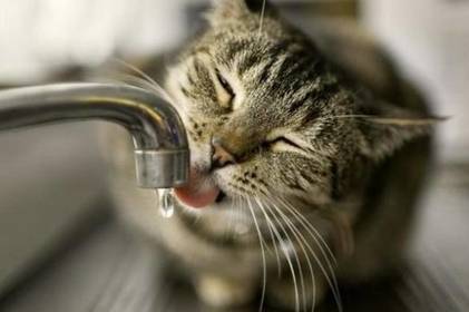 На кількох вулицях Вінниці припинять водопостачання. АДРЕСИ  

