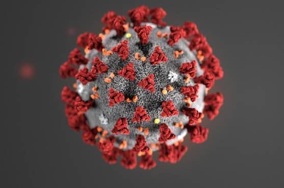 За минулу добу від коронавірусу на Вінниччині одужало 247 осіб  

