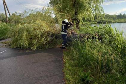 На Вінниччині після грози розчищають автошляхи від повалених дерев 

