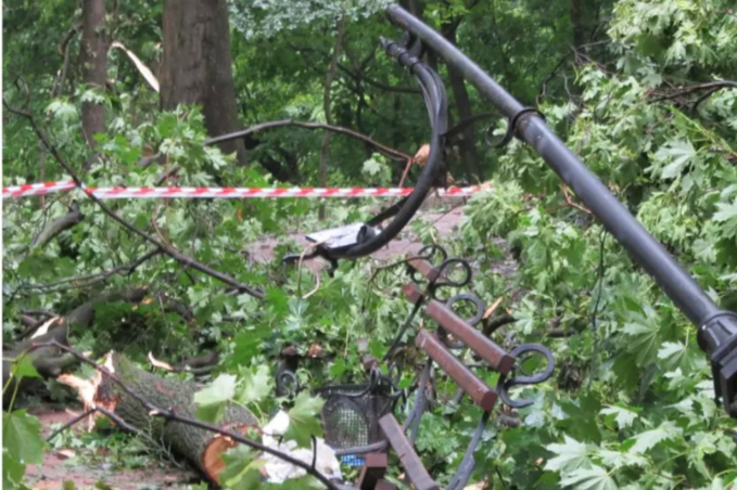 У Львові внаслідок падіння дерева загинув юнак родом з Вінниччини 

