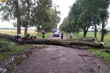 Повалені дерева та затоплені вулиці: Вінниччину вночі накрила негода 

