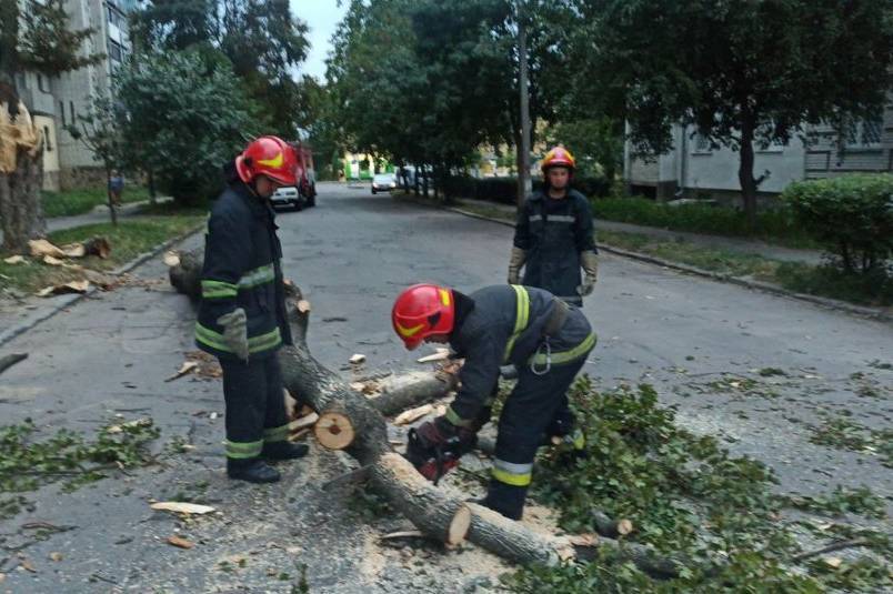 У Вінниці внаслідок негоди попадали дерева та в частині міста зник інтернет 


