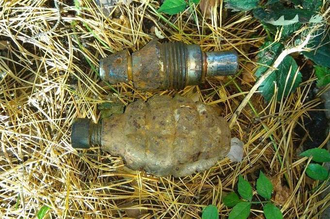 На території «Верфольфу» знайшли ручну гранату Ф-1