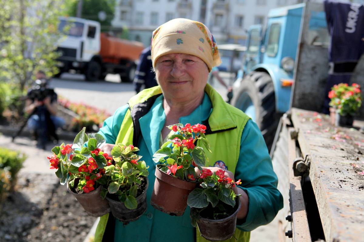 У Вінниці планують висадити понад 3 тисячі квітів