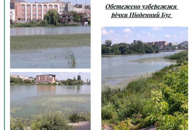 Екологи Вінниччини перевірили зелені плями, що з’явились на поверхні річки Південний Буг 