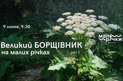 «Великий борщівник на малих річках»: вінничан запрошують долучитись до боротьби з інвазійною рослиною