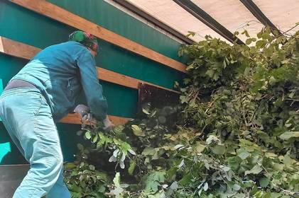 У Подільському зоопарку роблять запаси на зиму 