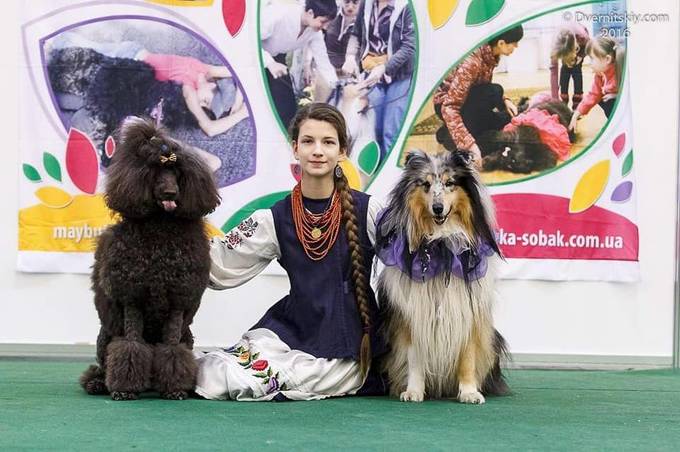 На Вінниччині дітей запрошують на зустріч із собаками- каністерапевтами 