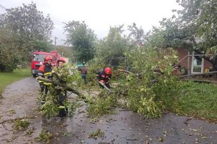 На Вінниччині сильний вітер «наламав дров»: знеструмлено 52 населених пункти 