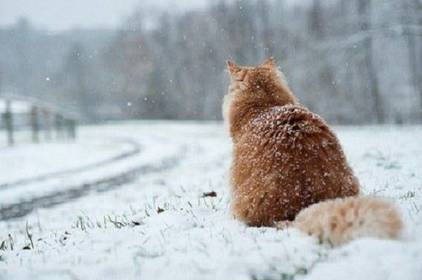 У Вінницькій області до кінця тижня – сніг, дощ і потепління 