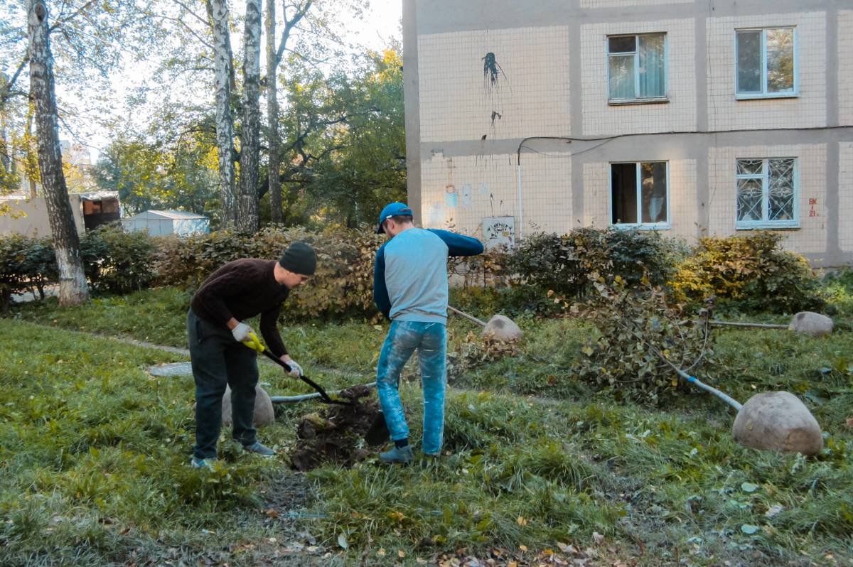 Цієї осені у Вінниці на прибудинкових територіях висадять 1000 дерев