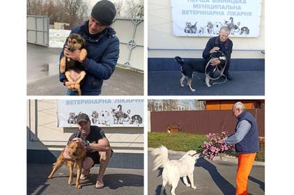За минулий рік 67 собак з Вінницького муніципального притулку для тварин вдалось влаштувати у домівки