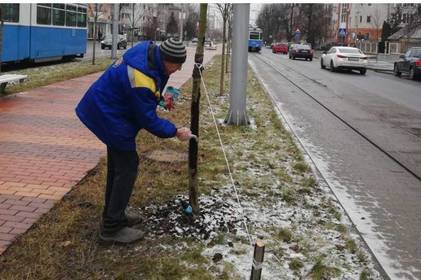 Про догляд дерев у Вінниці взимку розповіли у «Вінницязеленбуд»  