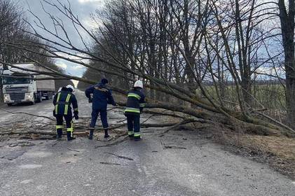 На Вінниччині рятувальники розчищають дороги від повалених дерев