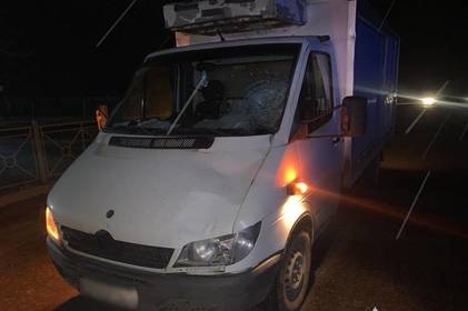 Смертельна ДТП на Вінниччині: мікроавтобус збив підлітка