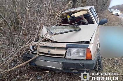 З’їхав у кювет та зіткнувся з деревом: на Вінниччині загинув харків’янин 