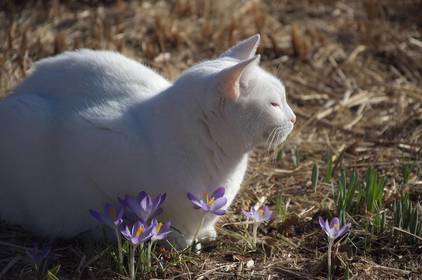 У Вінниці почнеться справжня весна – прогноз погоди до 8 березня