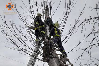 На Вінниччині рятувальники знімали з дерева пенсіонера   