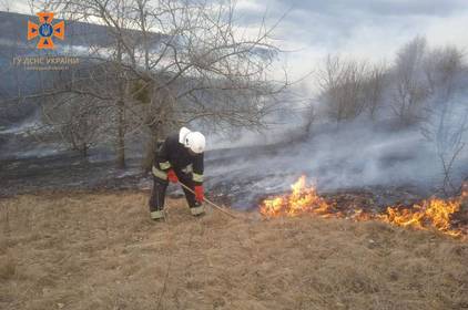 На Вінниччині вчора згоріло більше 10 гектарів чагарників  
