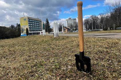 У центрі Вінниці замість звичайного газону планують створити квітучу луку