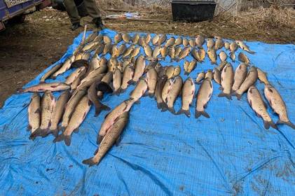 На Вінниччині браконьєри «нарибалили» на 1,5 мільйони гривень