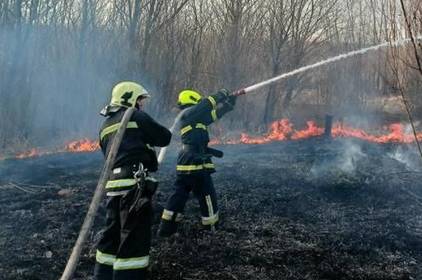 Згоріло 40га: ДСНС Вінниччини просить паліїв трави зупинитись