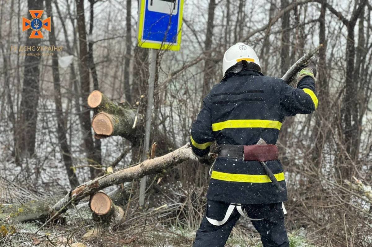 Рятувальники Вінниччини звільнили шлях поблизу села Петрик