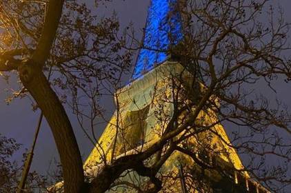 Історія Ейфелевої вежі та її копій у Вінниці: до дня народження "Залізної пані"