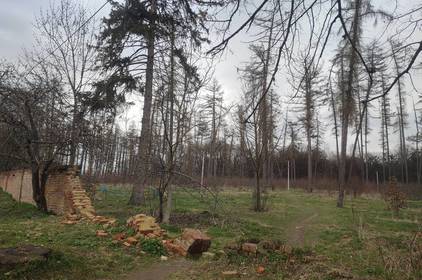 У Вінниці гине парк, якому понад двісті років (фоторепортаж) 