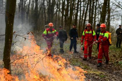 Лісова пожежа: на Вінниччині рятувальники та лісівники провели спільне тренування