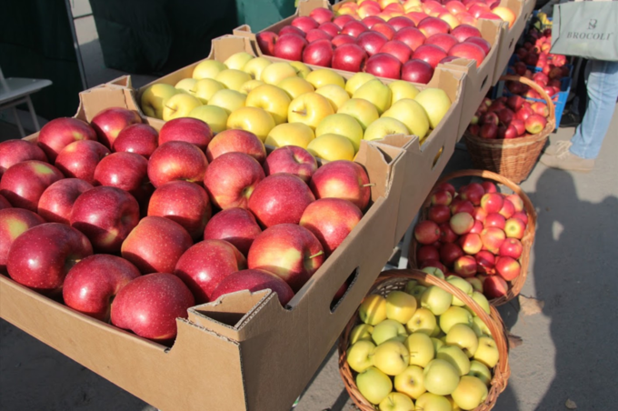 Яблука злагоди: як Apple Bar вже вдруге фестивалив і ярмаркував