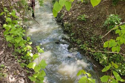 У Вінниці виявили каналізаційні стоки в струмку, який впадає в Південний Буг
