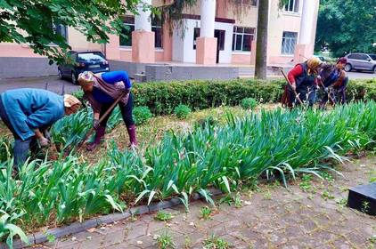 У Вінницько-Хутірському окрузі працівники МКП «Вінницязеленбуд» висадили півтисячі кущів троянд