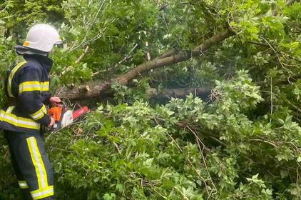 На Вінниччині рятувальники розчистили дороги від повалених дерев