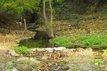Вінницька міська рада виділила кошти на аналіз стану поверхневих водойм громади