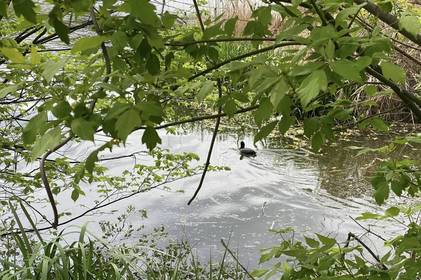 У Вінниці затвердили Концепцію розвитку малих річок Вінниці – 2035 У Вінниці затвердили Концепцію розвитку малих річок Вінниці – 2035