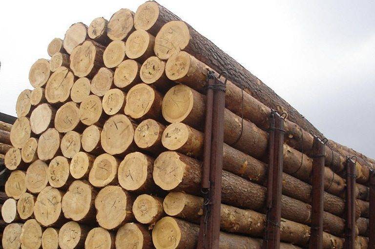 На Вінниччині зупинили партію деревини, яка експортувалася за підробленими документами