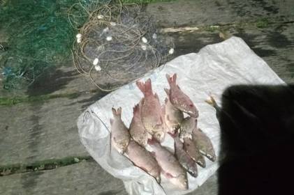 У Вінницькому районі затримали чоловіка, який наловив риби на 24 тисячі гривень