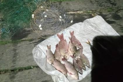 У Вінницькому районі затримали чоловіка, який наловив риби на 24 тисячі гривень У Вінницькому районі затримали чоловіка, який наловив риби на 24 тисячі гривень