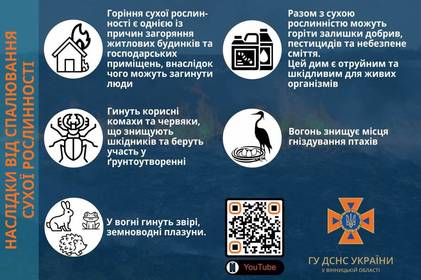 На Вінниччині бійці ДСНС ліквідували 6 пожеж в екосистемах