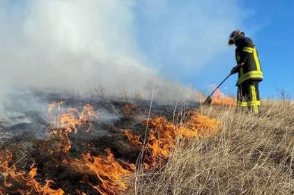 На Вінниччині за день ліквідували три пожежі в природних екосистемах