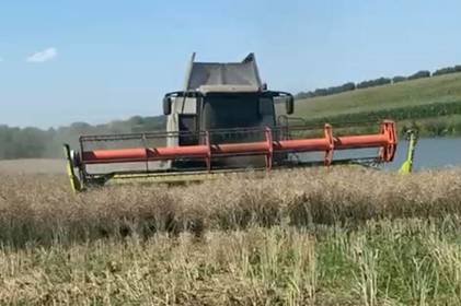 Посіяли ріпак у забороненому місці: на Вінниччині екологи зафіксували порушення законодавства Посіяли ріпак у забороненому місці: на Вінниччині екологи зафіксували порушення законодавства